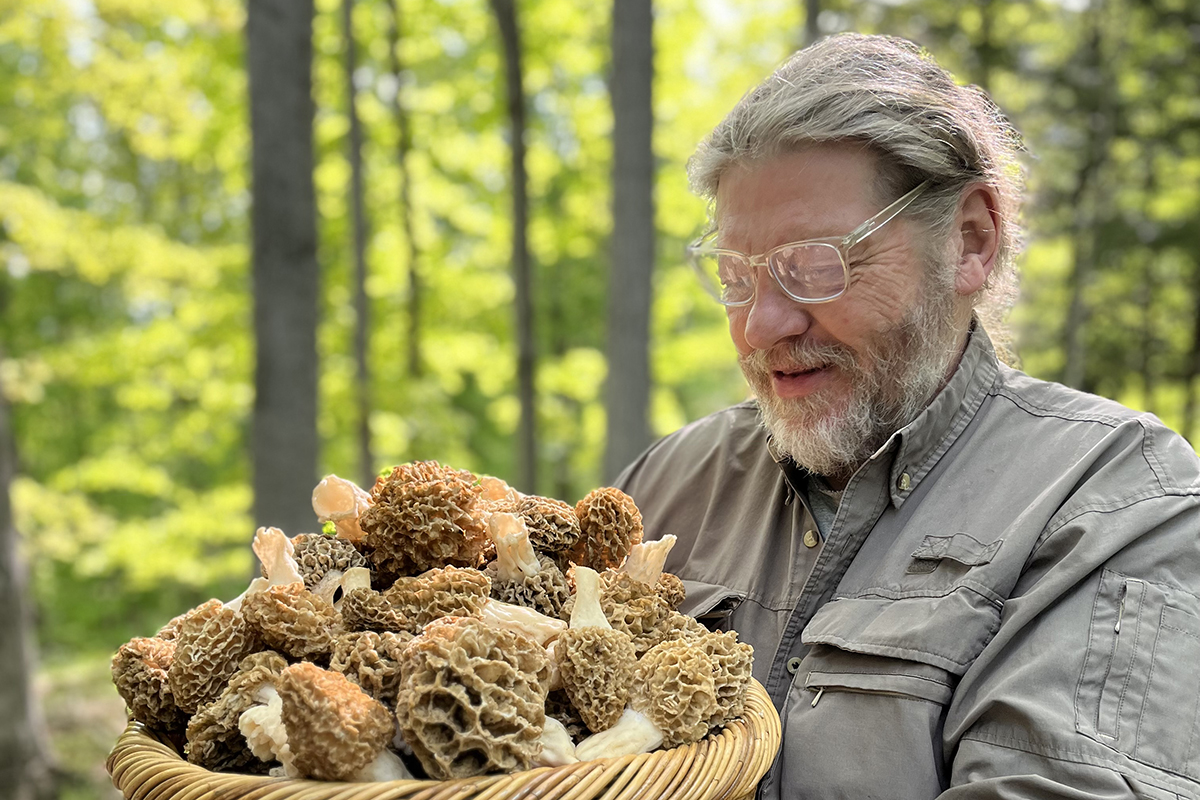 Hunting the Elusive Morel