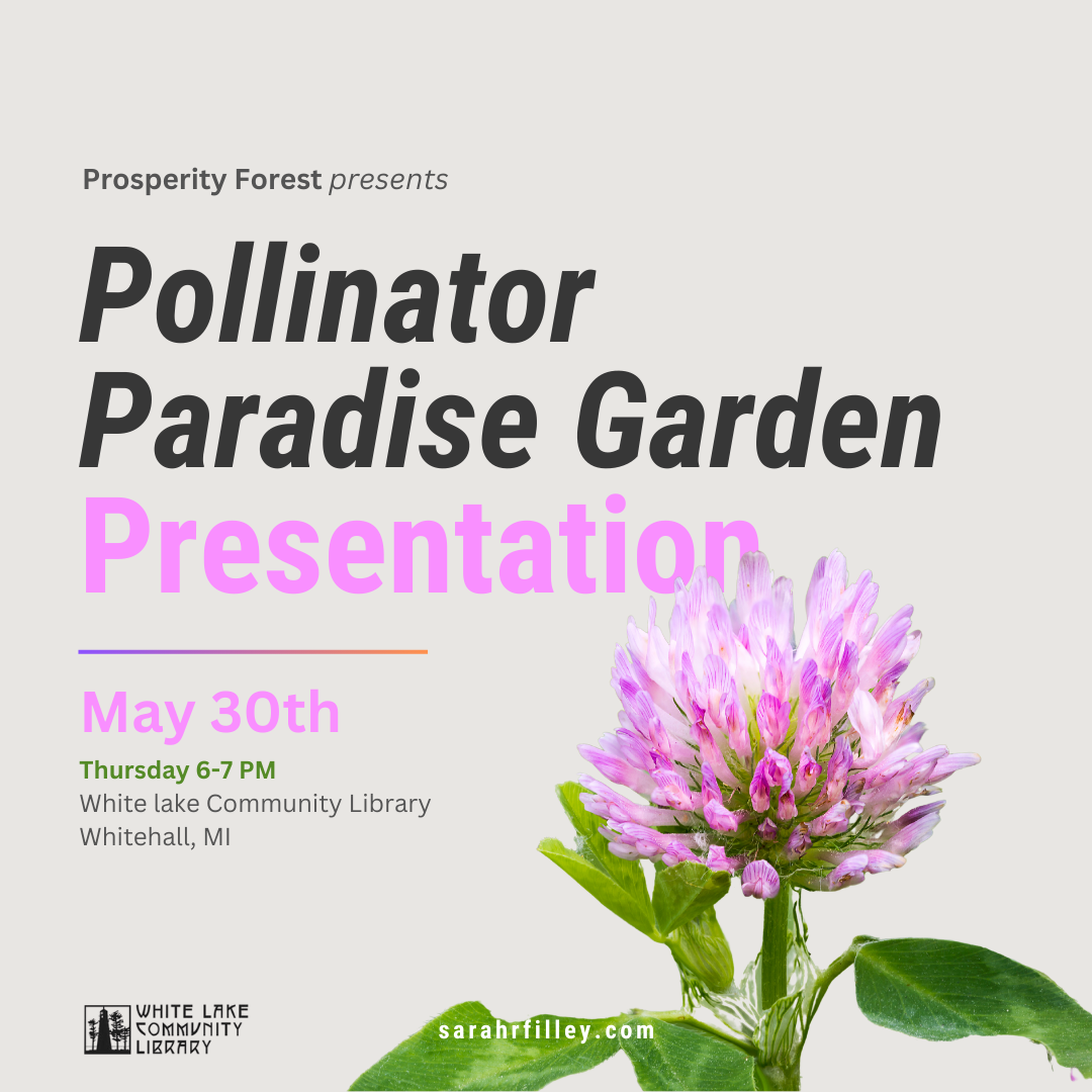 Pollinator Paradise Garden Kick-off Presentation