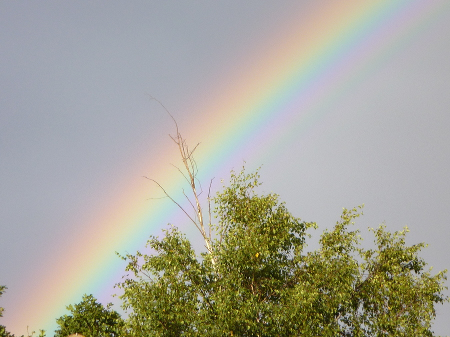 Outdoor Explorers: Leprechaun Hunt