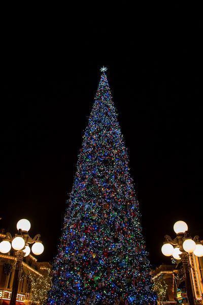 Roseville Tree Lighting - Drive Thru Program