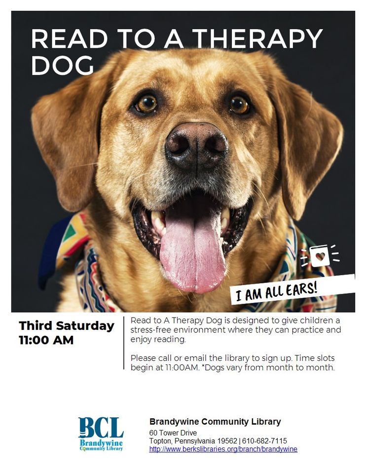 Read to a Therapy Dog at Brandywine Community Library