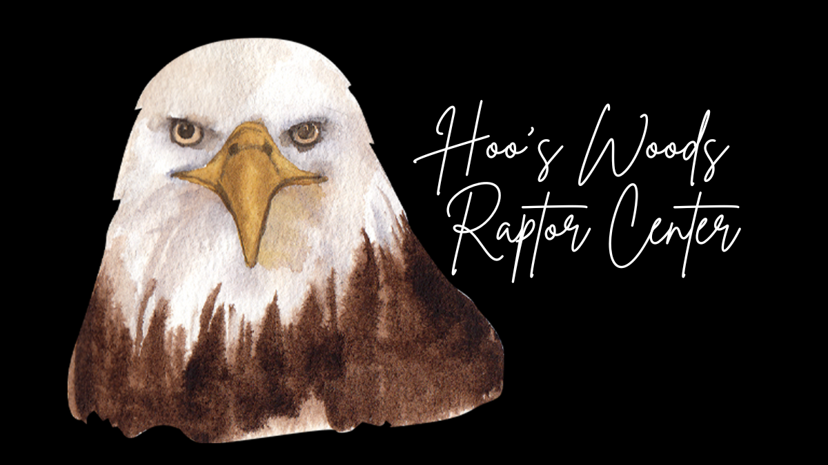 Canceled  Program.  Will be rescheduled.