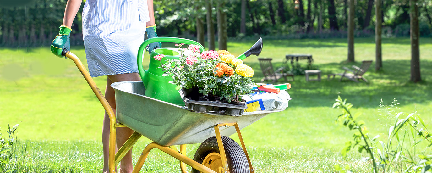 Get Your Garden Ready!