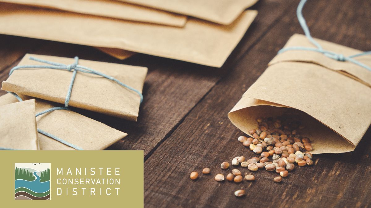 Seed Swap with the Manistee Conservation District (M)