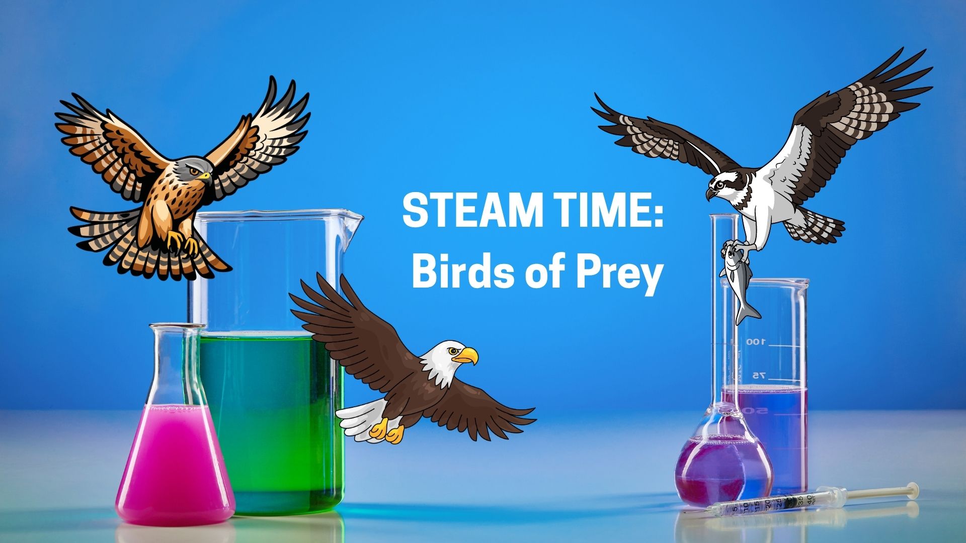 STEAM Class: Birds of Prey — Education in Eagle Public Library · Eagle, ID