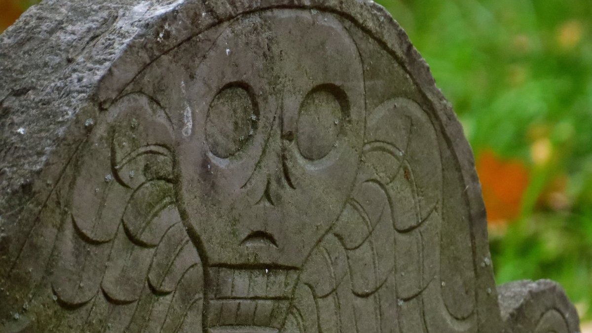 Rattling the Bones: Genealogy