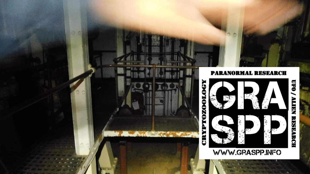 Paranormal Investigations for Adults (M)