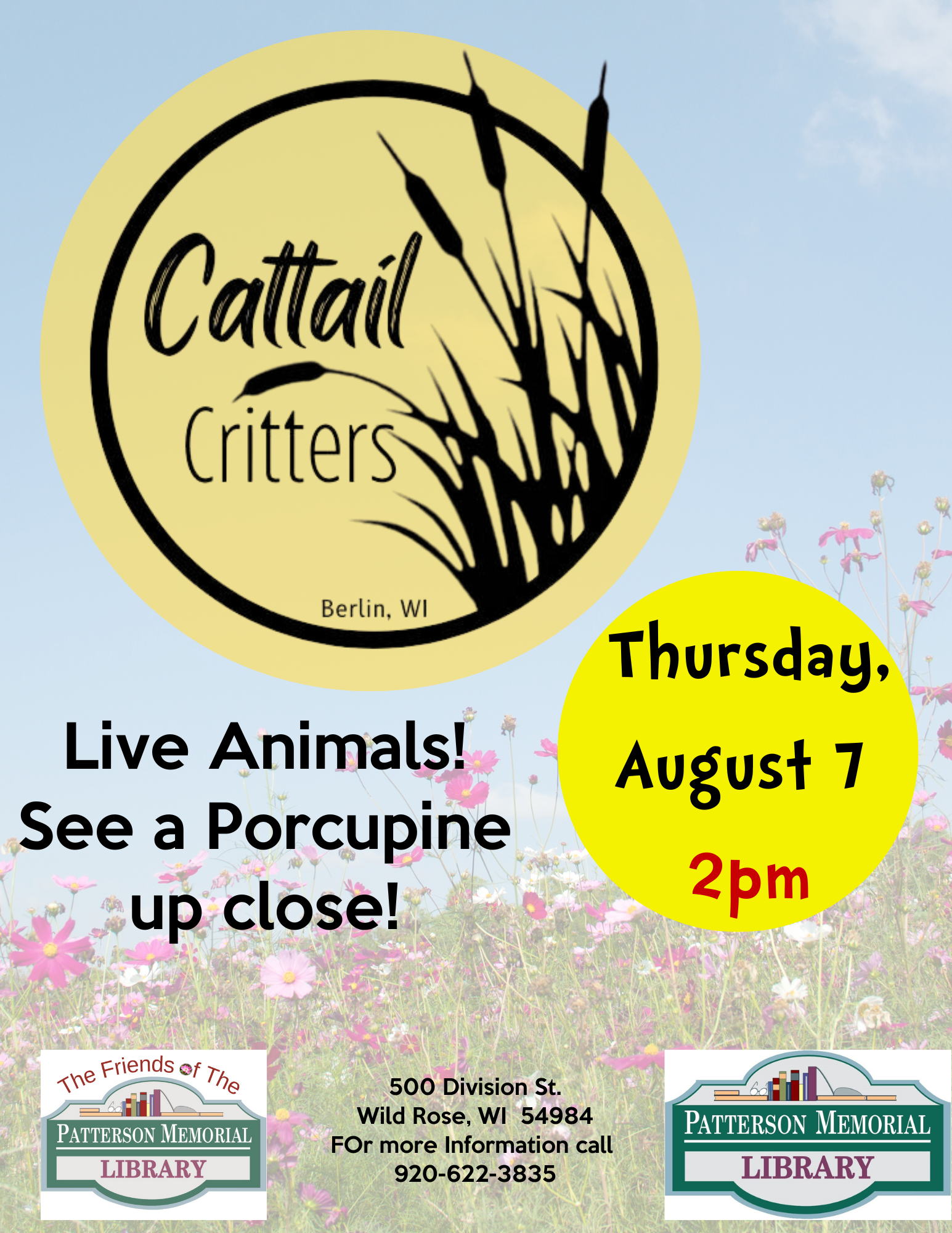 CatTail Critters