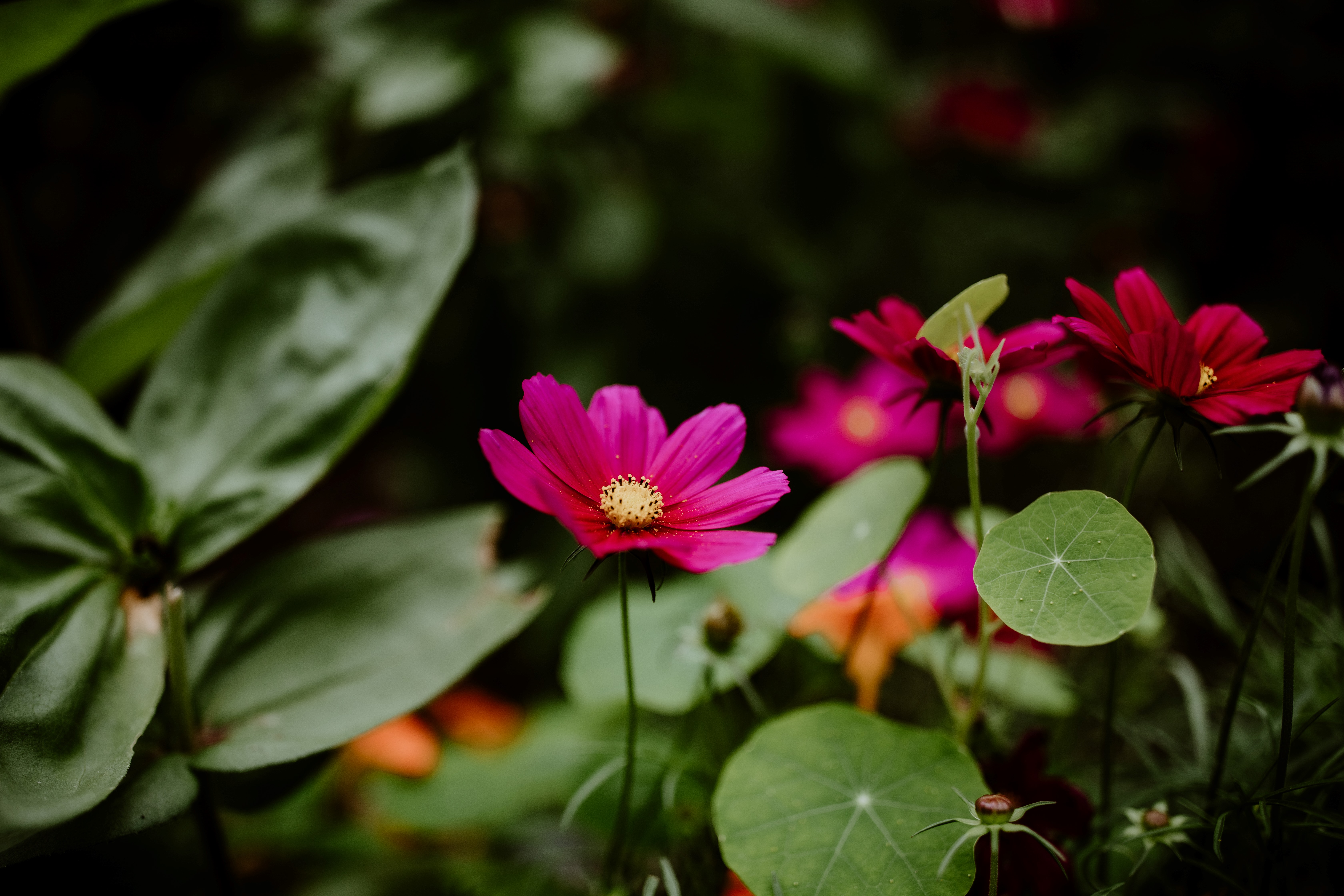 Outdoor Explorers: Late Bloomers