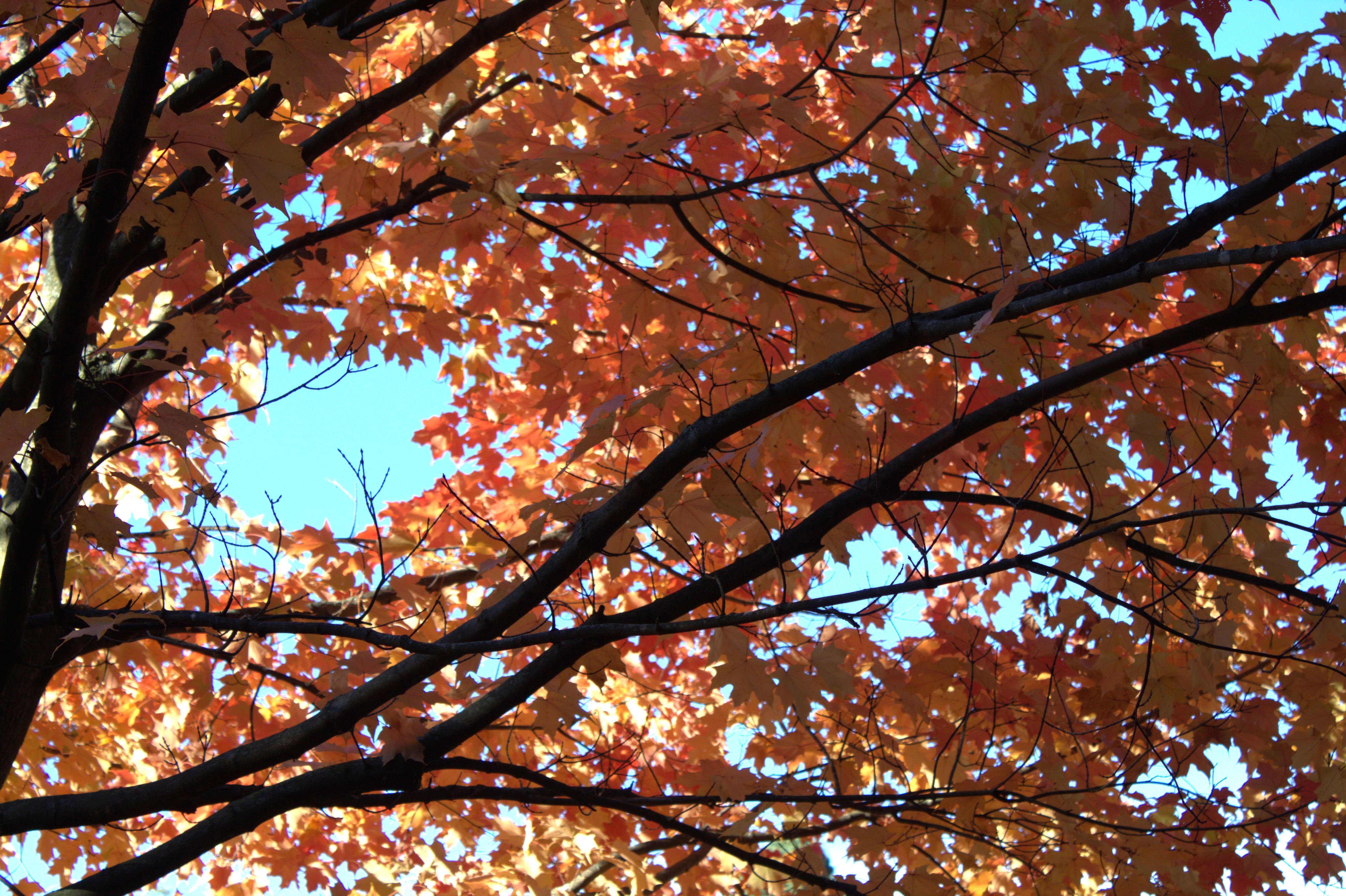 Outdoor Explorers: The Autumn Equinox