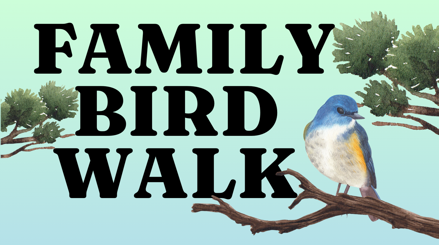 Family Bird Walk