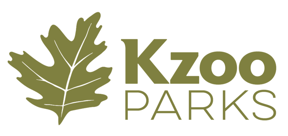 Youth development council picture