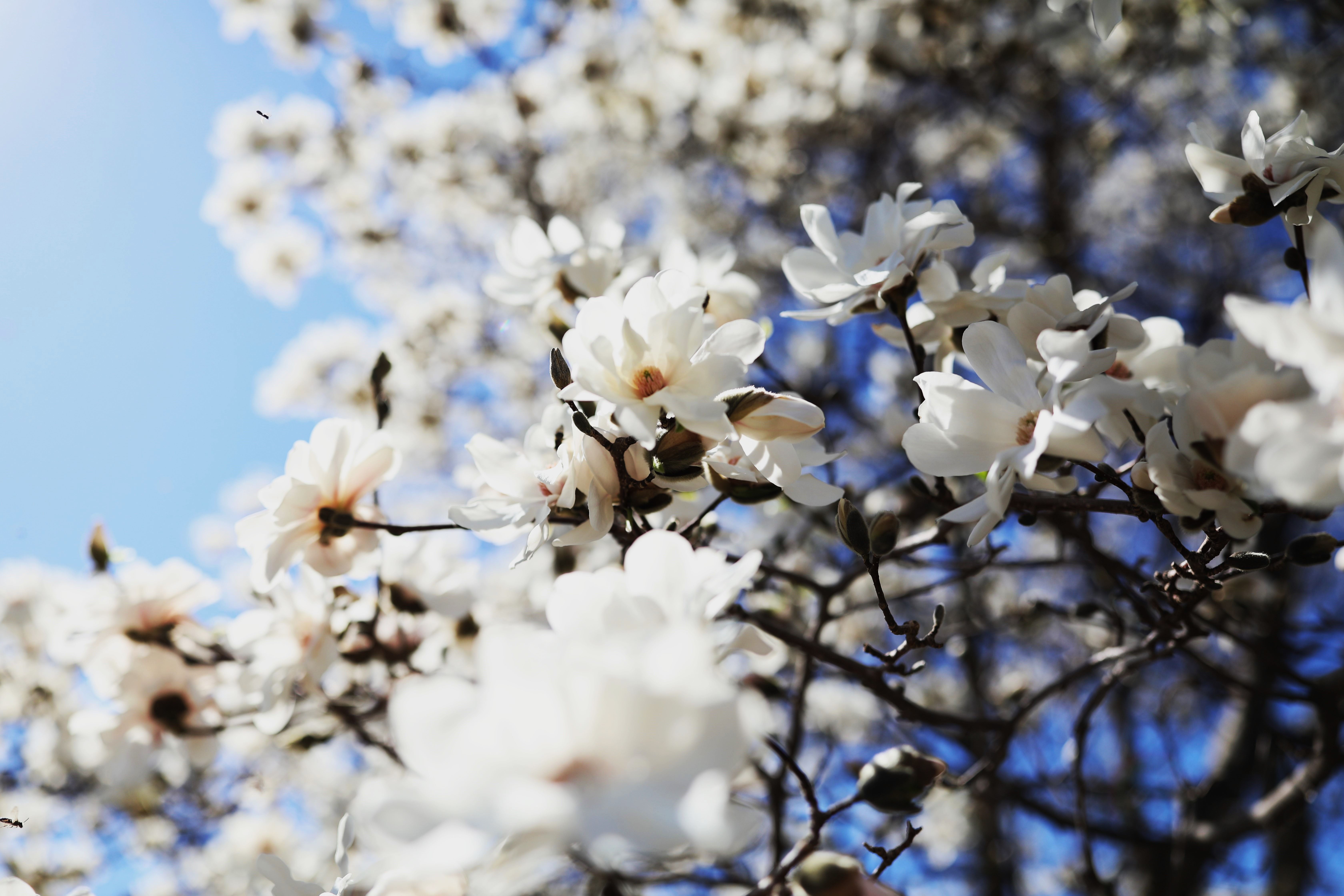 Kids Drop & Shop – Kids Stay, YOU Sleigh!