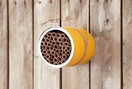 Teen and Adult Take & Make: Mason Bee House