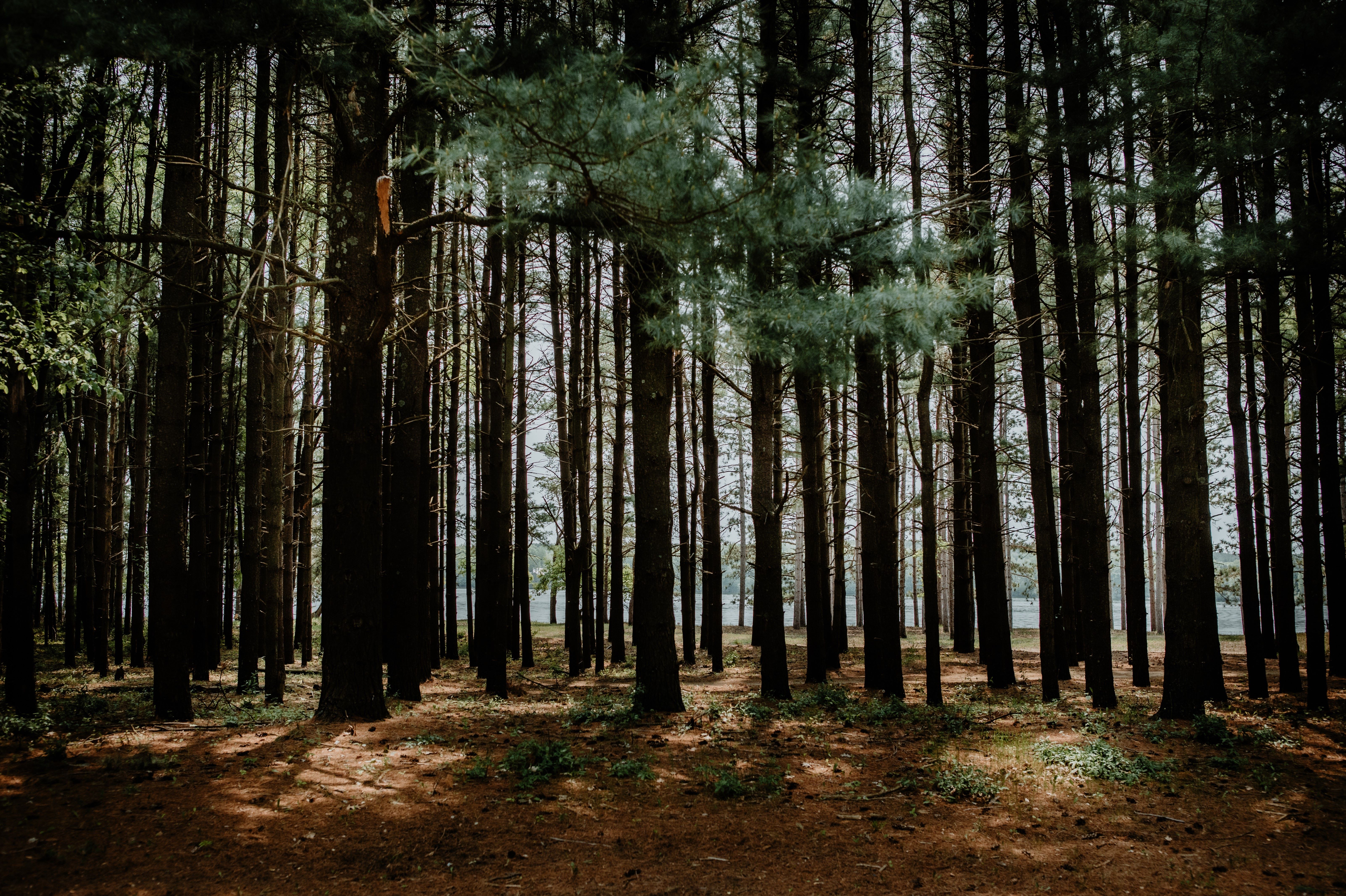 Geocaching Fall Fun Days 2024 with the Cache Hunter Junkies