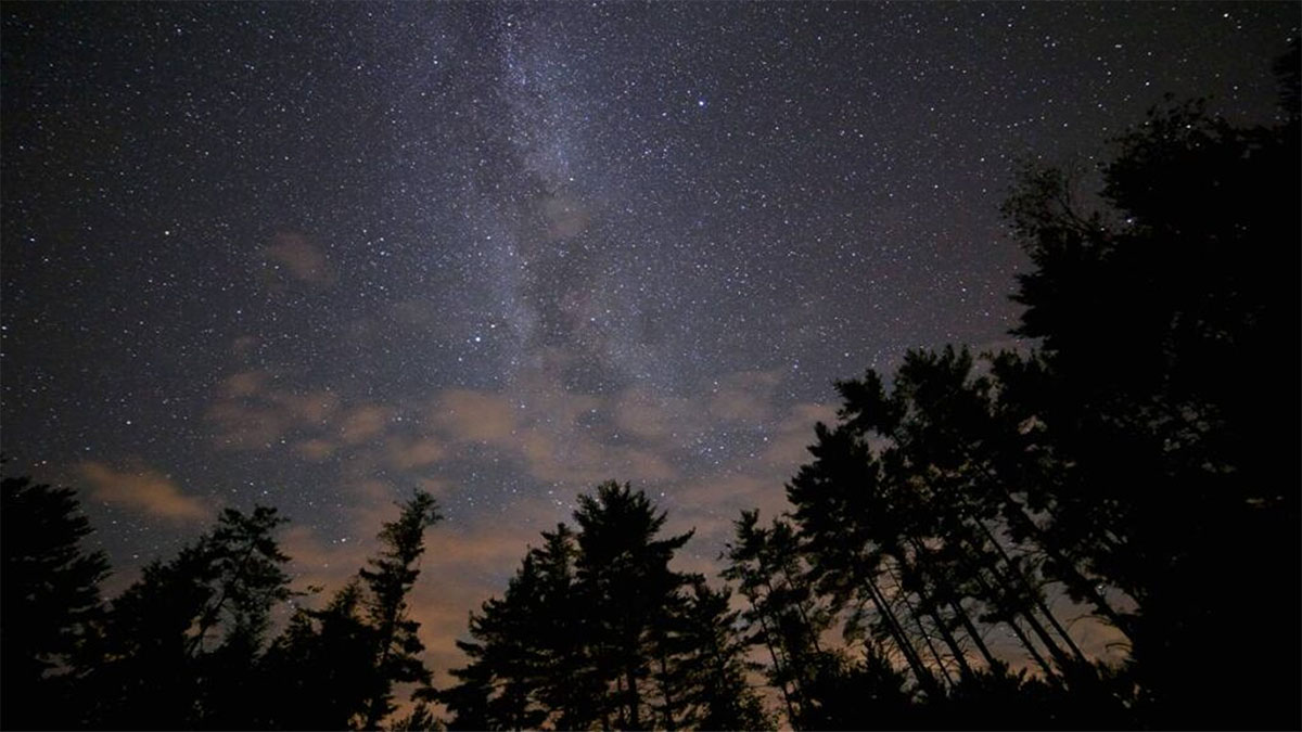Nature at Night: International Dark Sky Week