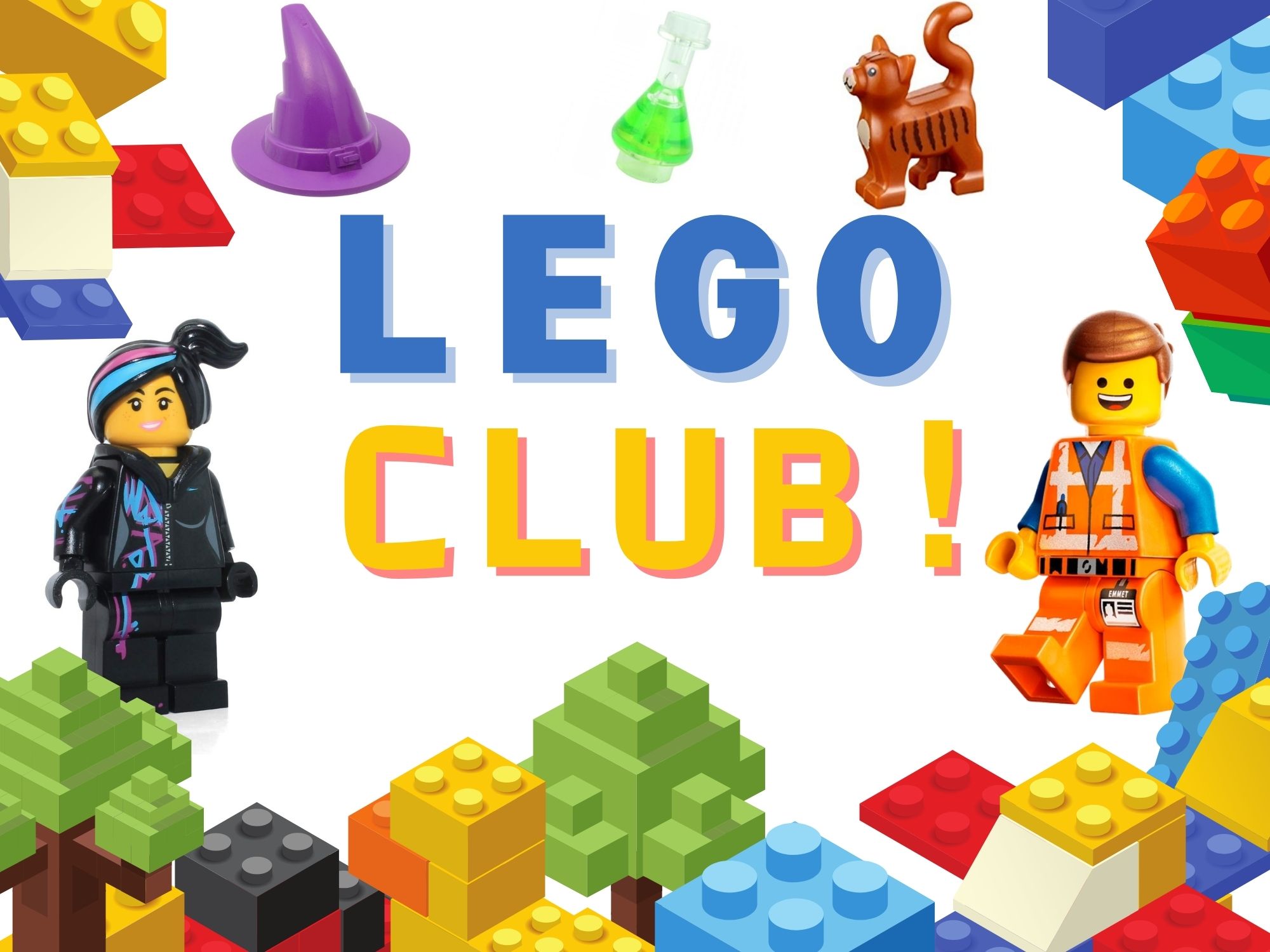 Lego Club!