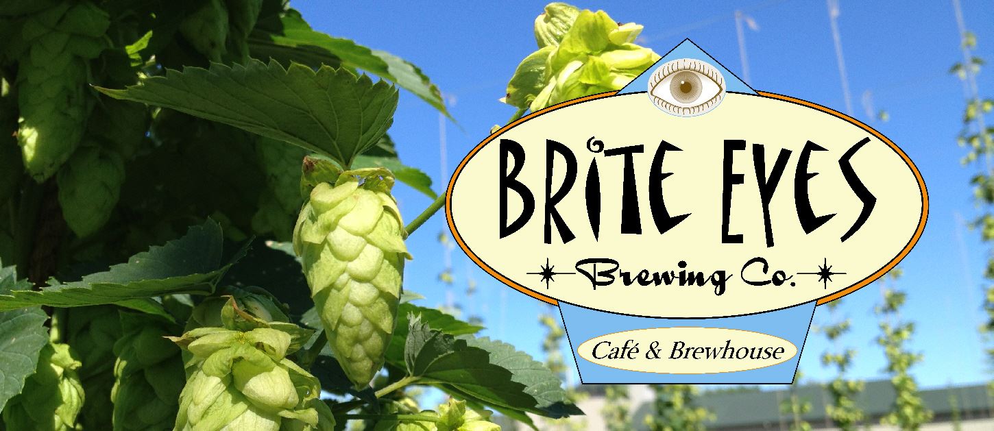 Flight%20cover%20photo%201