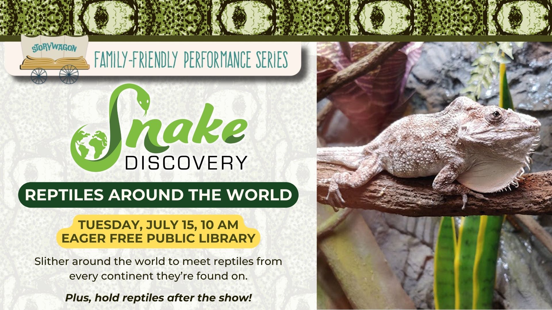 Snake Discovery