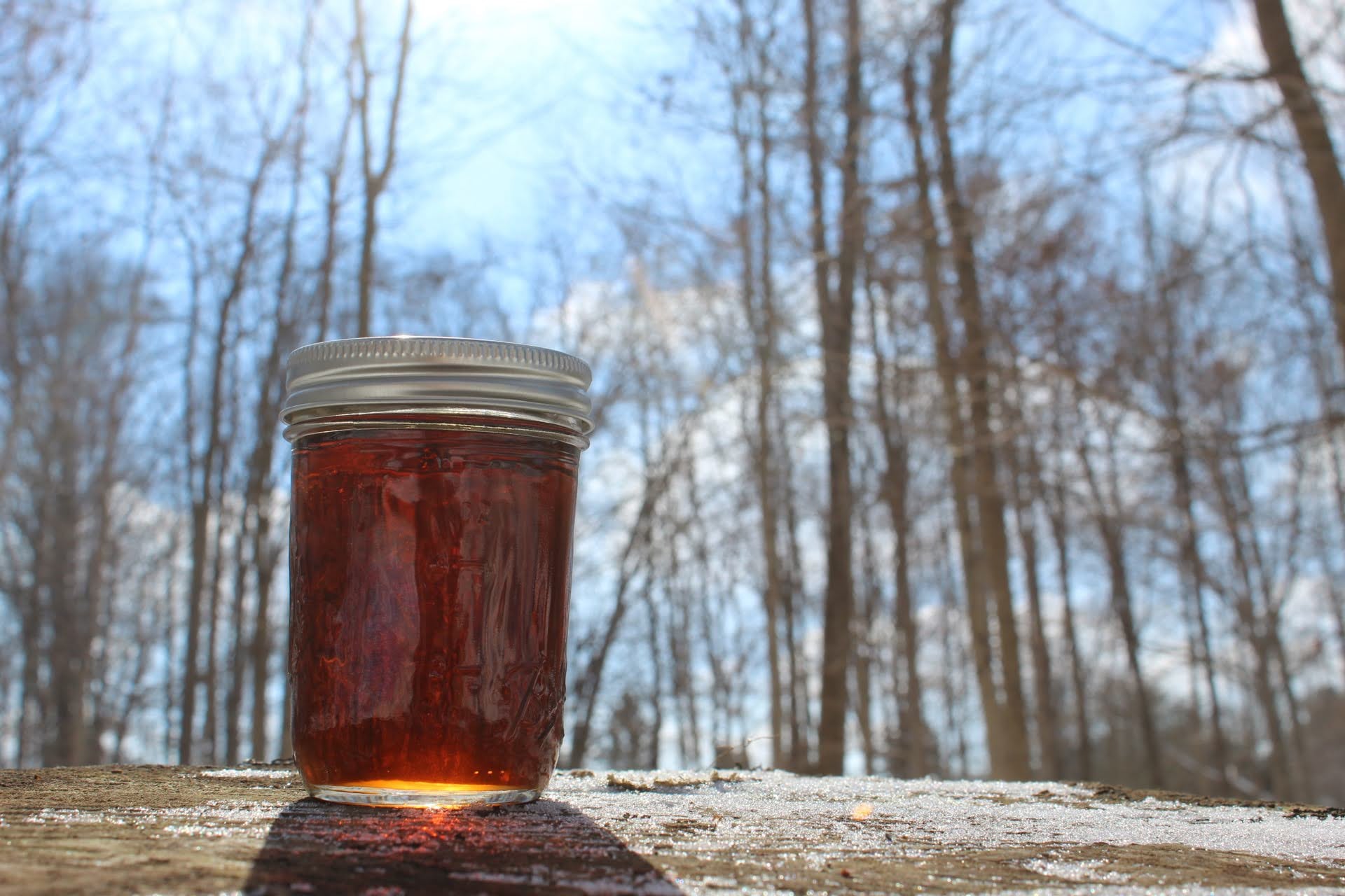 Maple Sugaring in Your Backyard