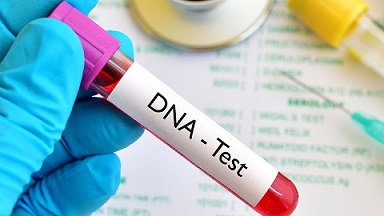 Virtual Program: DNA Testing Companies: Pros and Cons, Costs and Features!