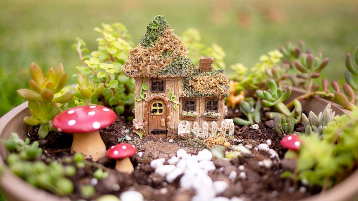 Fairy Gardens (S)