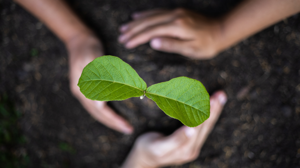 Planting Your Garden: Reduce, Reuse, Recycle - Tuesday, April 22, 2025 ...