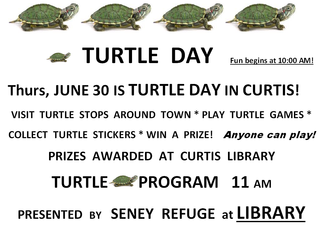 Turtle Day