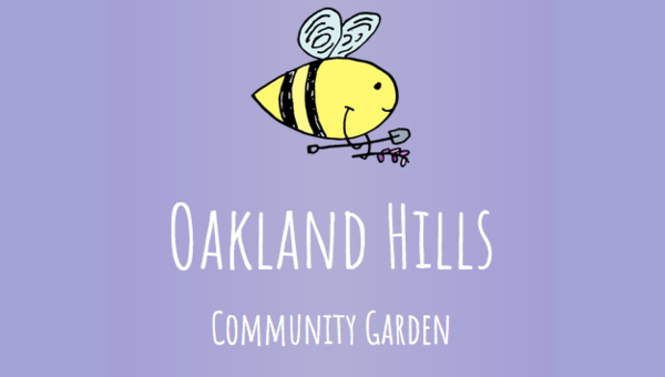 Screen%20Shot%202017 07 13%20at%204.29.16%20PM