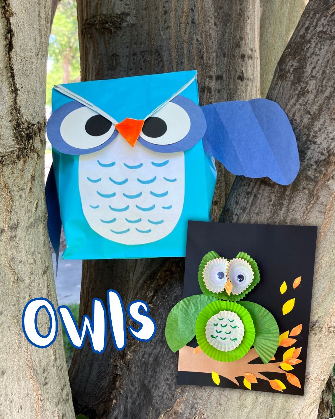 Kids’ Class: Owls — Arts & culture in Eagle Public Library