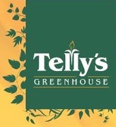 mfp 20bf1bf5a39f5dc969b362e7f0ccca7aTellys