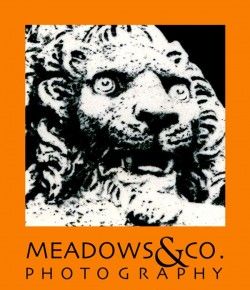 mfp dd7fdbf4d0f574deadc3e5c6e99cd1abMeadows sidebar Logo 250